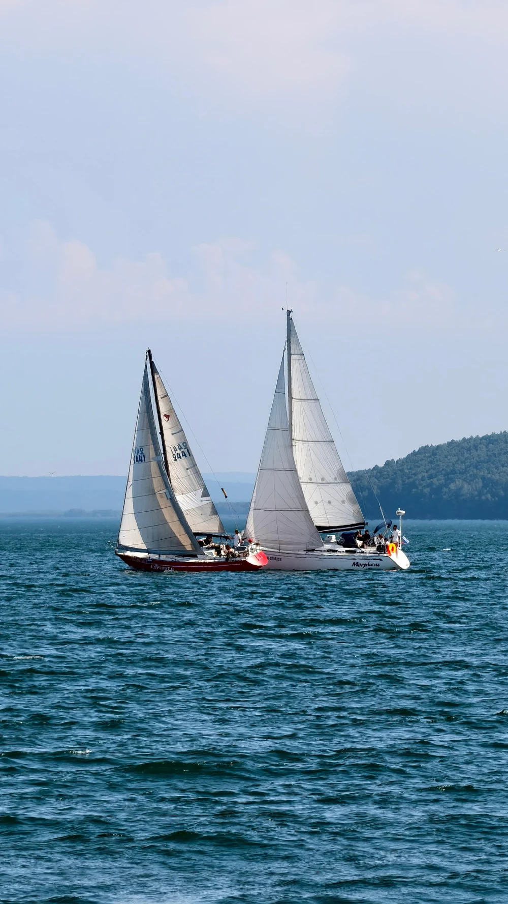 Корпоративные регаты