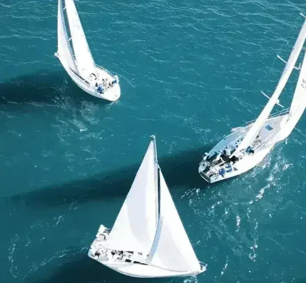 Корпоративные регаты